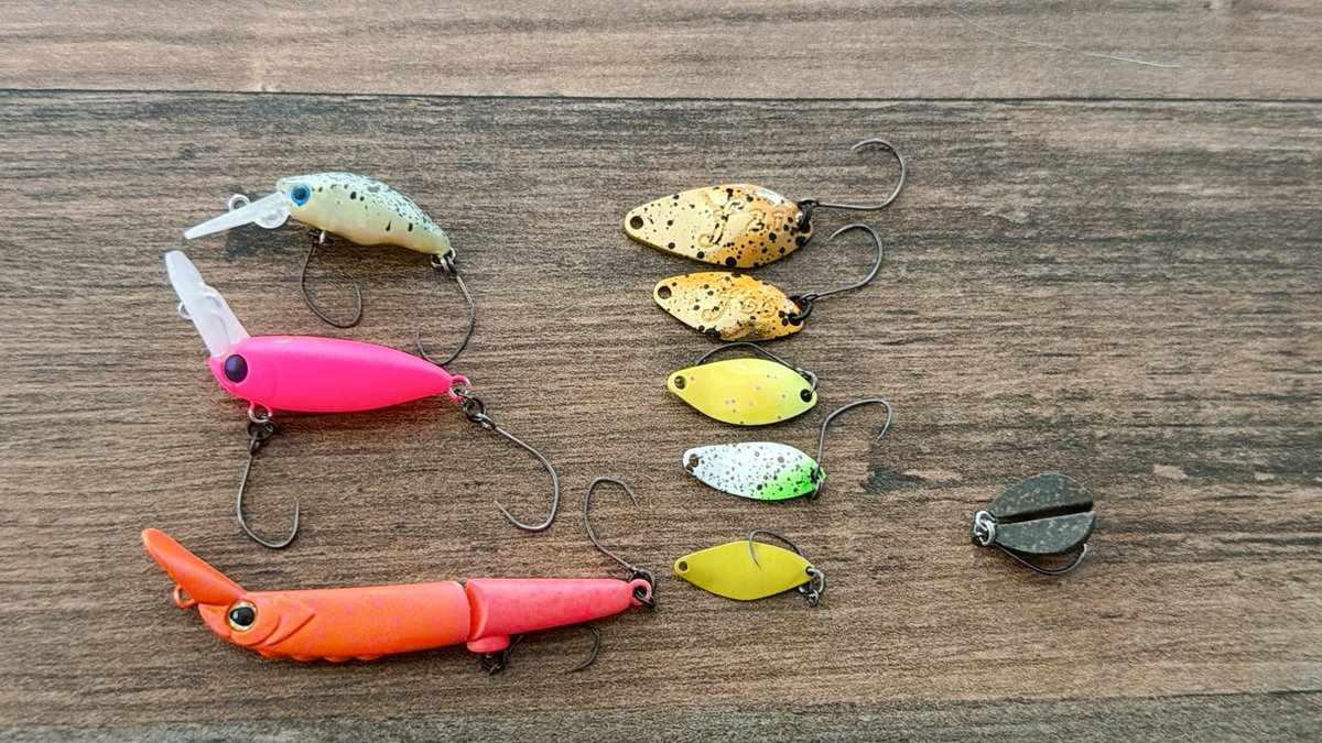 sarahnightplay's tweet photo. 昨日の小菅TGで頑張ってくれたルアー達
甲斐サーモンはウッサ、団子魚、フォルテ21、シャース02、バベコンで食わせましたが最終的には3匹キャッチで着地🫰
合計15釣行くらいで今のところ100%赤身確保できてるのでとりあえずはよし😊 https://t.co/9EYWRAOQ4j
