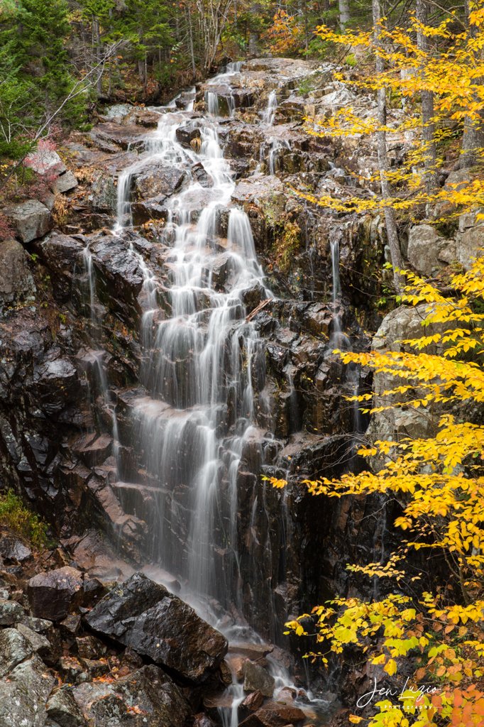 JenniferLuzio's tweet photo. falling for fall
Acadia National Park, Maine https://t.co/GYPsnxHowk