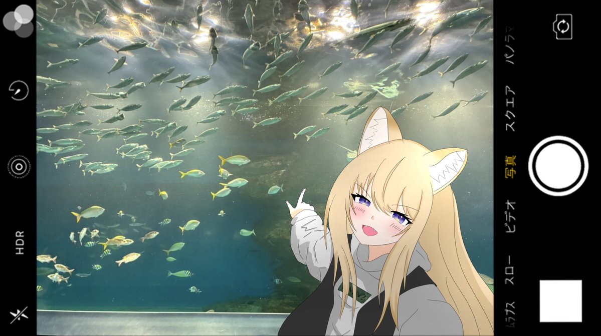 naohz1122's tweet photo. リタちゃんと一緒に水族館デート行ってきました‼️‼️‼️

#kmnzart
#ねぇリタどん https://t.co/Iur0Oyb8Um