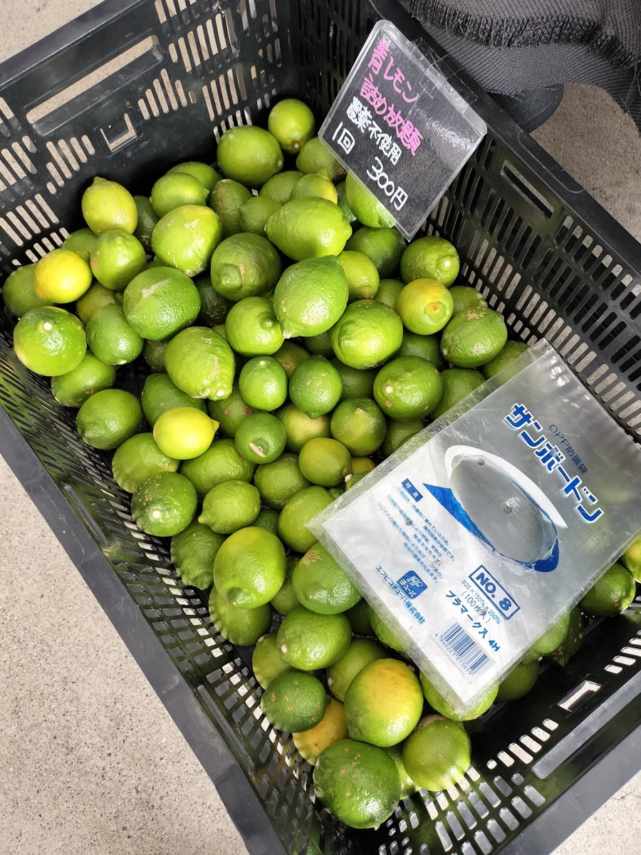patadoara's tweet photo. 🍋青レモン詰め放題あります🍋 https://t.co/ojTqgVgf72