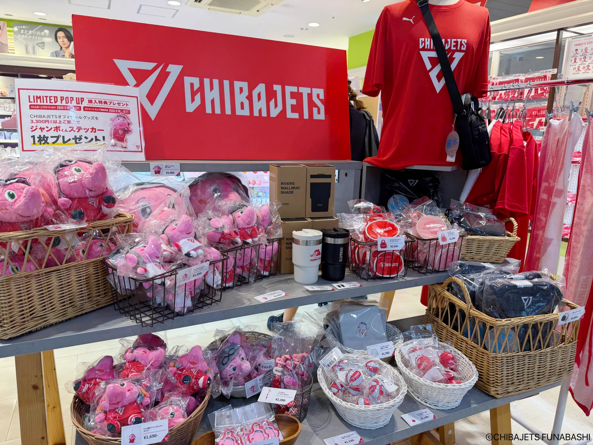 公式】千葉ジェッツ グッズ (@CHIBAJETS_store) / X