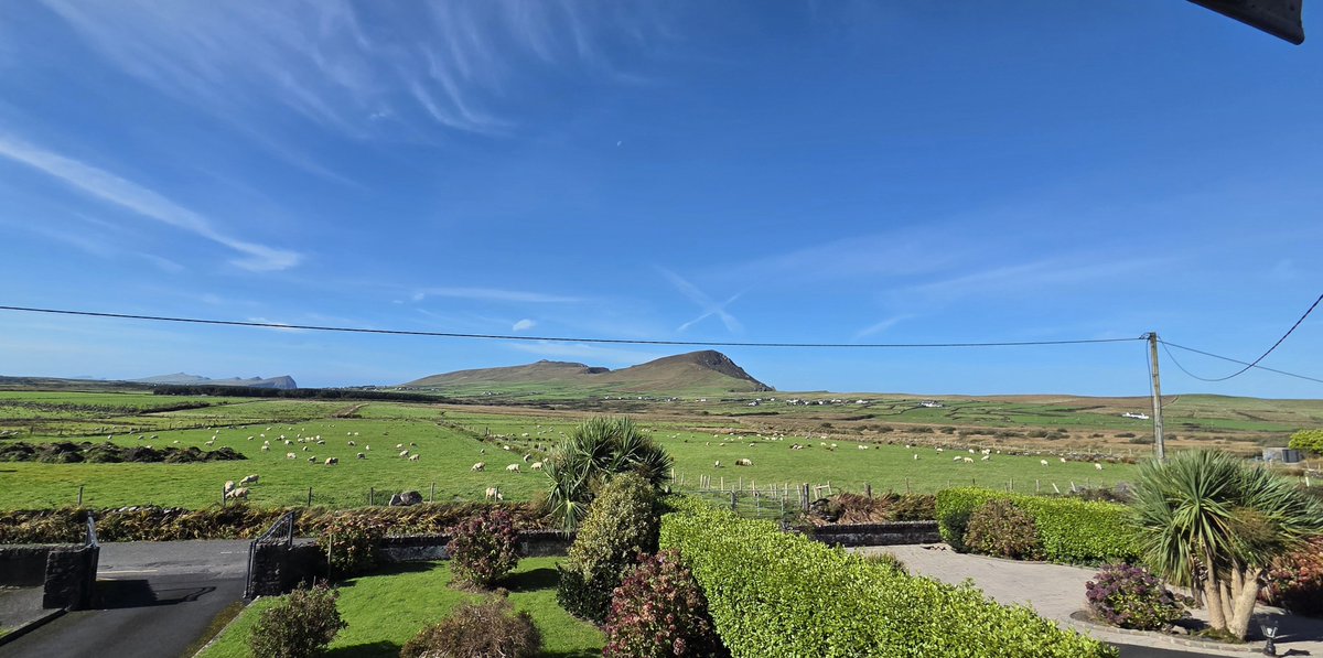 fitzyok's tweet photo. Lá iontach in Iarthar Dhuibhneach (great day in west kerry). An aimsir go hálainn agus atmasféar iontach ag Féile Bídh an Daingin(beautiful weather and great atmosphere at Dingle food festival). Sláinte a cháirde(cheers). Oiche mhaith 😴😴
#365daysofGaeilge
#365daysofwalking https://t.co/fffVgTW3DW