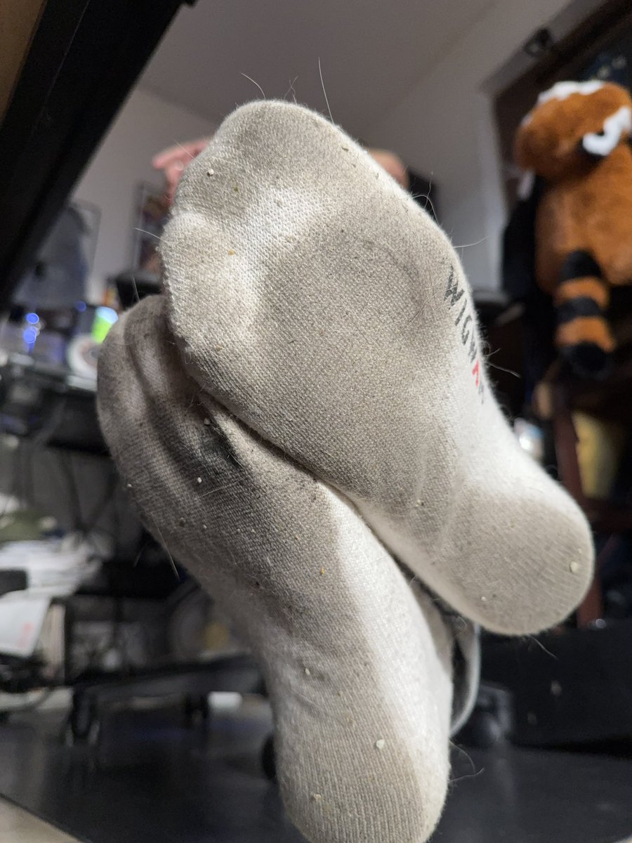 azsocks tweet picture