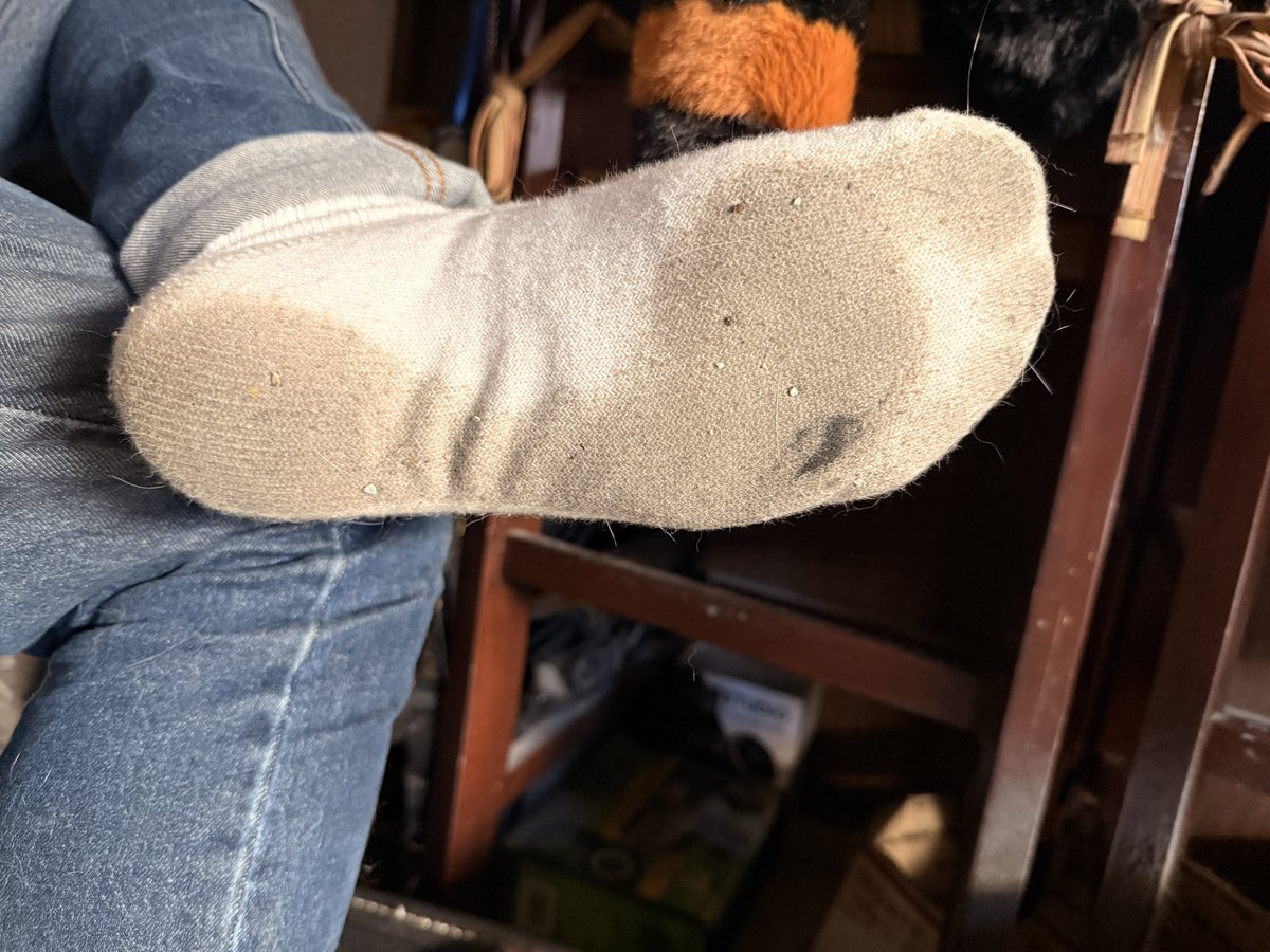 azsocks tweet picture