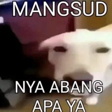 Sprmato_phy_tha's tweet photo. Argumen fenyefonk bigmok emang template semua, sarkastik gak nyambung. Emang bener sih gaada yang bisa dibela dari itu orang jadi argumennya personal. https://t.co/QbC0PdQUtO