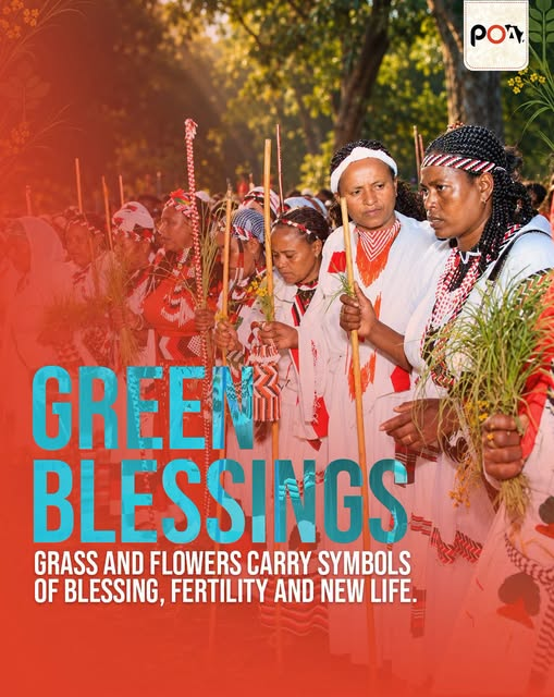 poaenglish's tweet photo. #Irreecha Hora Arsedi is in full swing! Can outside voices explain African heritage? Systems like Gadaa prove Africa's true history is indigenous. Real African heritage lives in indigenous knowledge & systems like the UNESCO-recognized Oromo Gadaa governance.
#PulseOfAfrica #POA https://t.co/5top0vPHIG