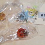 Photo by 夏目かける🦊🐴🌈【狐】が一人称／別名義はRT参照 (@kmo_nob)