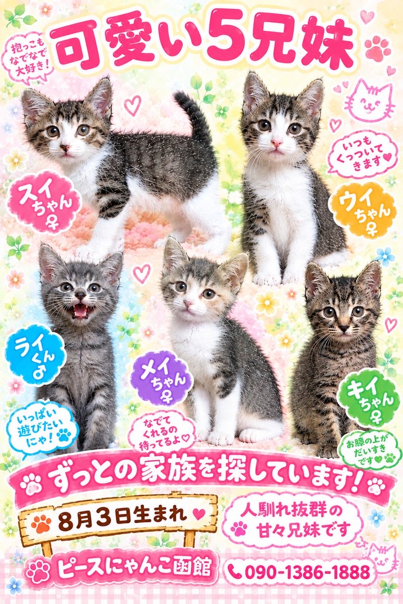 umeko_hakodate's tweet photo. 秋の仔猫祭り
里親さん募集の仔猫たちです。面談随時　09013861888ピースにゃんこ函館まで☎️ご連絡お待ちしております。 https://t.co/zeIT1Bjnal