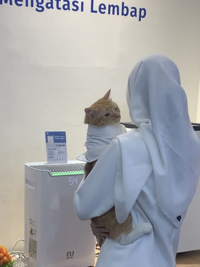 samshinecat's tweet photo. Yaa beginilah kehidupan idolcing 😇 https://t.co/4m1w3srBHI