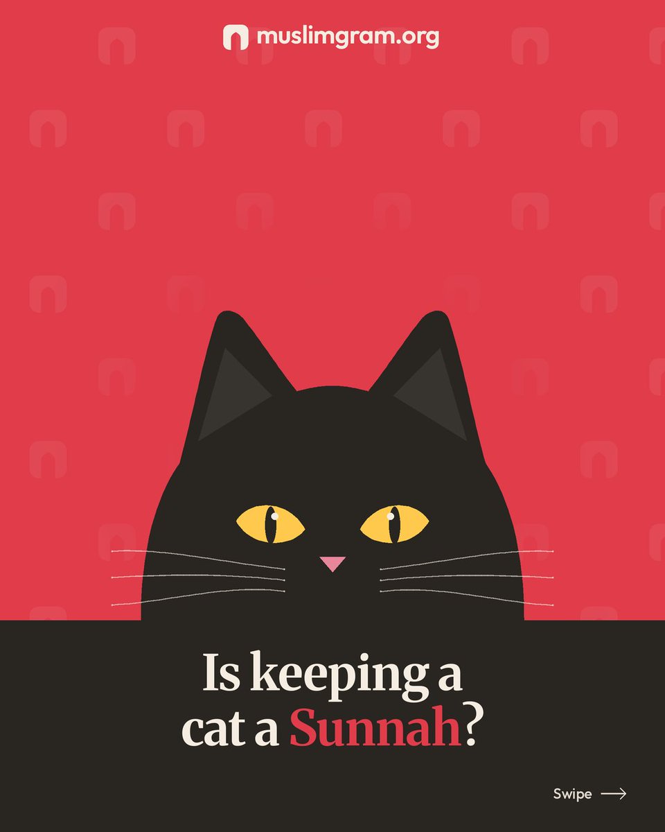 MuslimGram's tweet photo. Is Keeping a cat s Sunnah? https://t.co/VJ9lT9iGiY