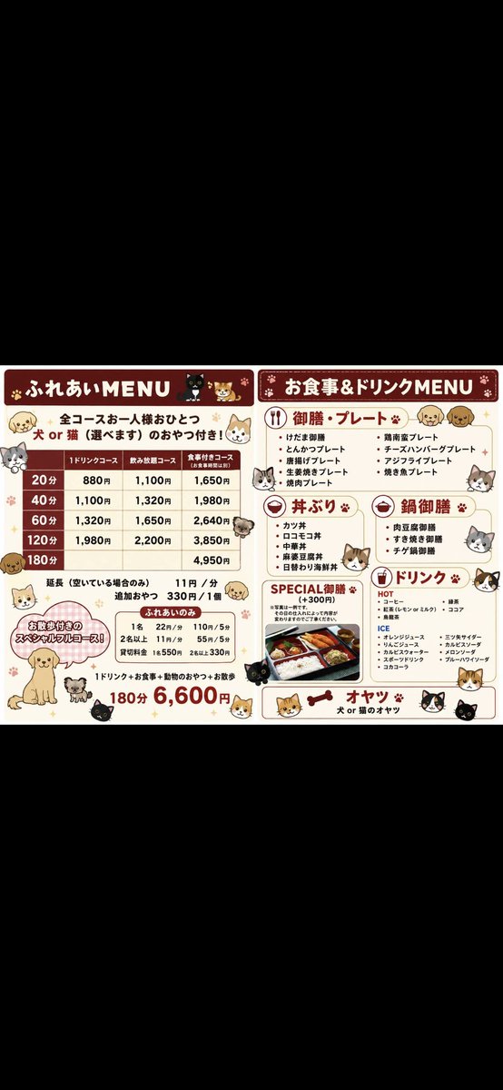 kedama_wacafe's tweet photo. この後一番オススメな時間帯
16時～19時
空いています。
皆が活発になります。
皆の注目になれるチャンスですよ
お問い合わせは0471735888まで

また来週以降の予約も大歓迎です。
気楽に連絡ください https://t.co/JJBoS3ltEE