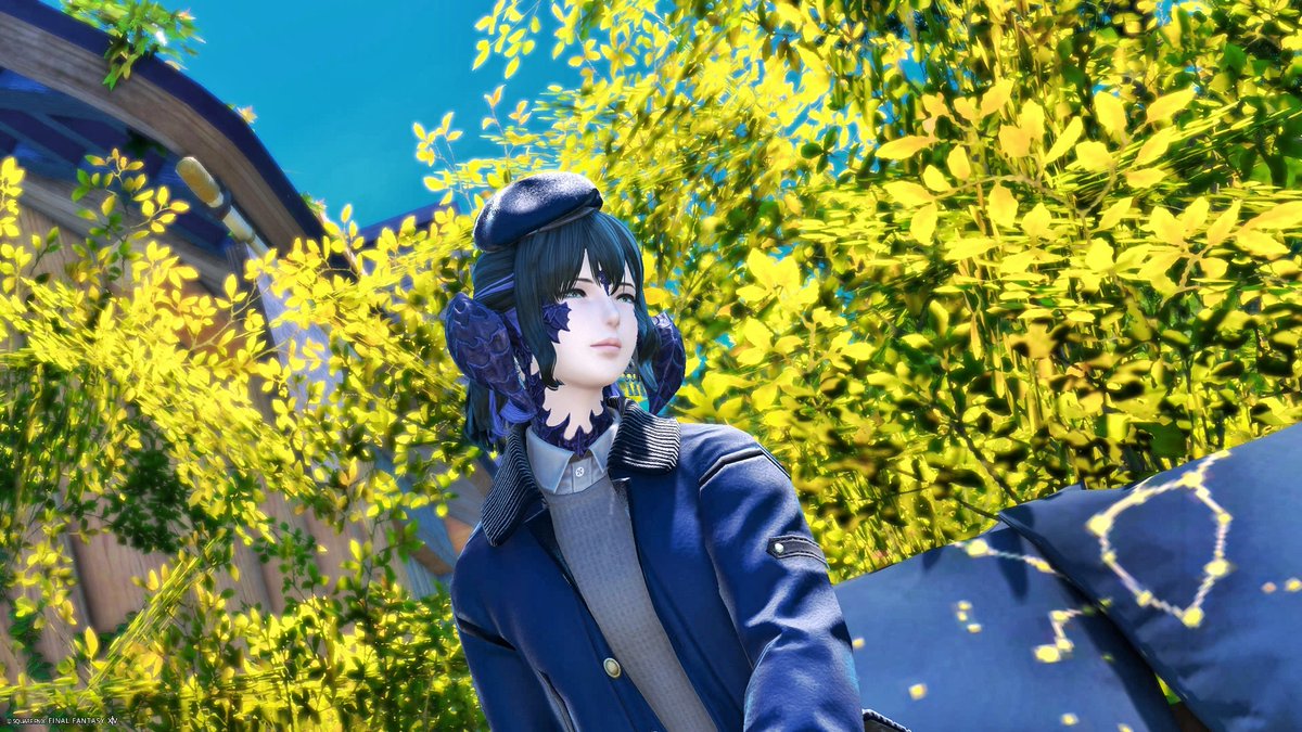 10toki14astrum's tweet photo. こういう木置くと秋っぽさ出てよいね〜(* ॑꒳ ॑*  ) https://t.co/5R2n5B04vh
