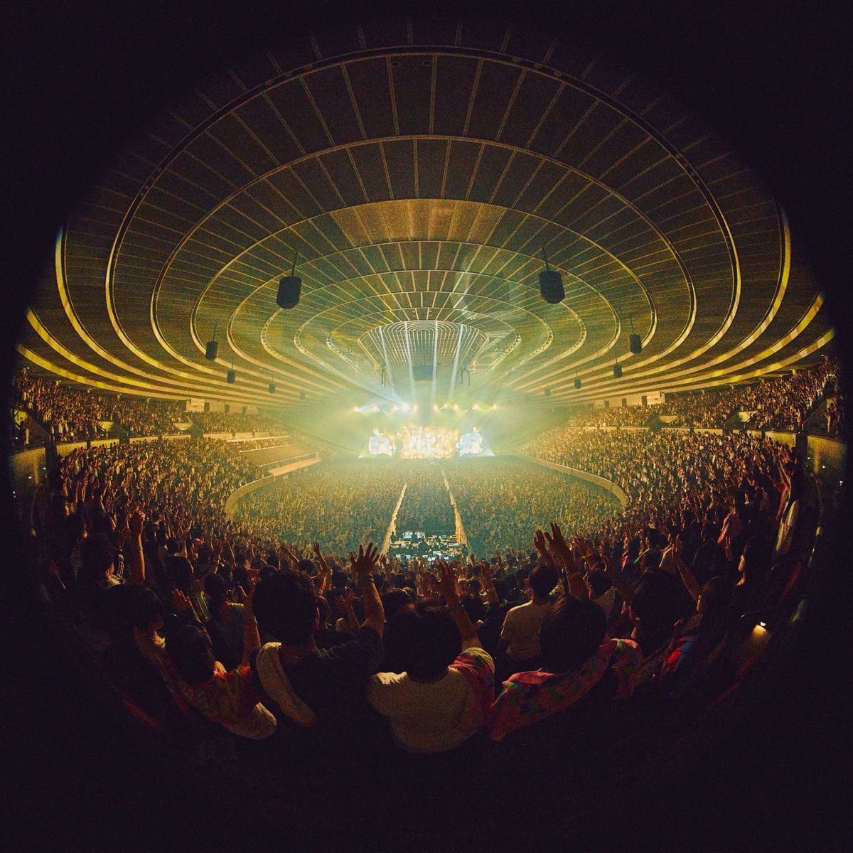 h_s_g_w_d_i_k's tweet photo. マカロックツアーvol.22大阪城ホールday.1ありがとうございました。
とうとうツアーが始まりました！
初日がここで良かった。
本日もよろしく頼みます。
photo:@imdaisukesakai https://t.co/zGxEp1qYHN