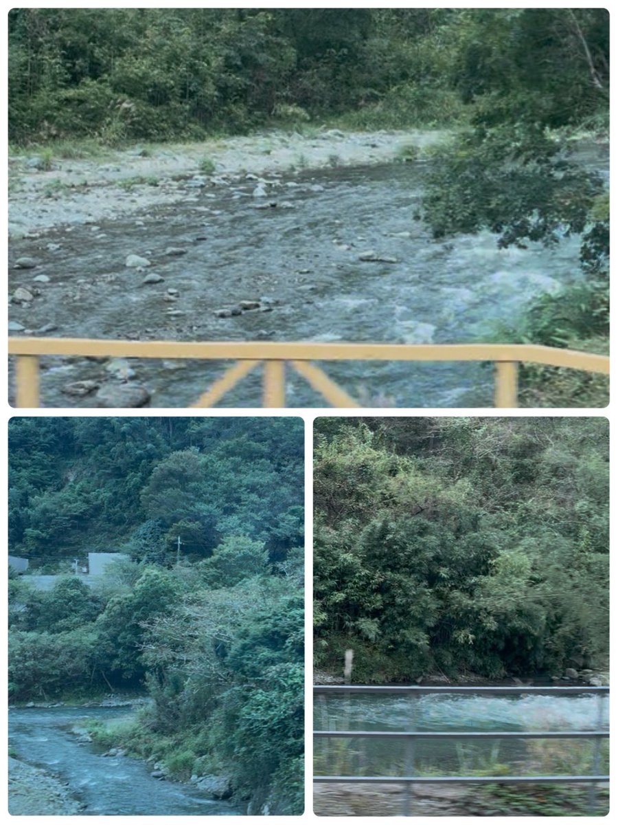 yu05068's tweet photo. 今日は、清水へ
小田原行きの小田急電鉄
渋沢から新松田間のこの景色が
好き❤️ https://t.co/whcUvFmrAk