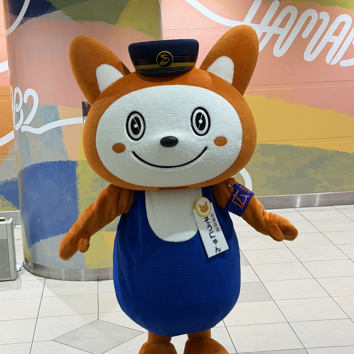 hibiyasen48ver2's tweet photo. 10時の横浜えきまつりだにゃんー😸🧡

#そうにゃん
#のるるん
#けいきゅん
#ヨコハマウス
#はまりん
#えむえむさん
#横浜えきまつり https://t.co/4LXY2109I5