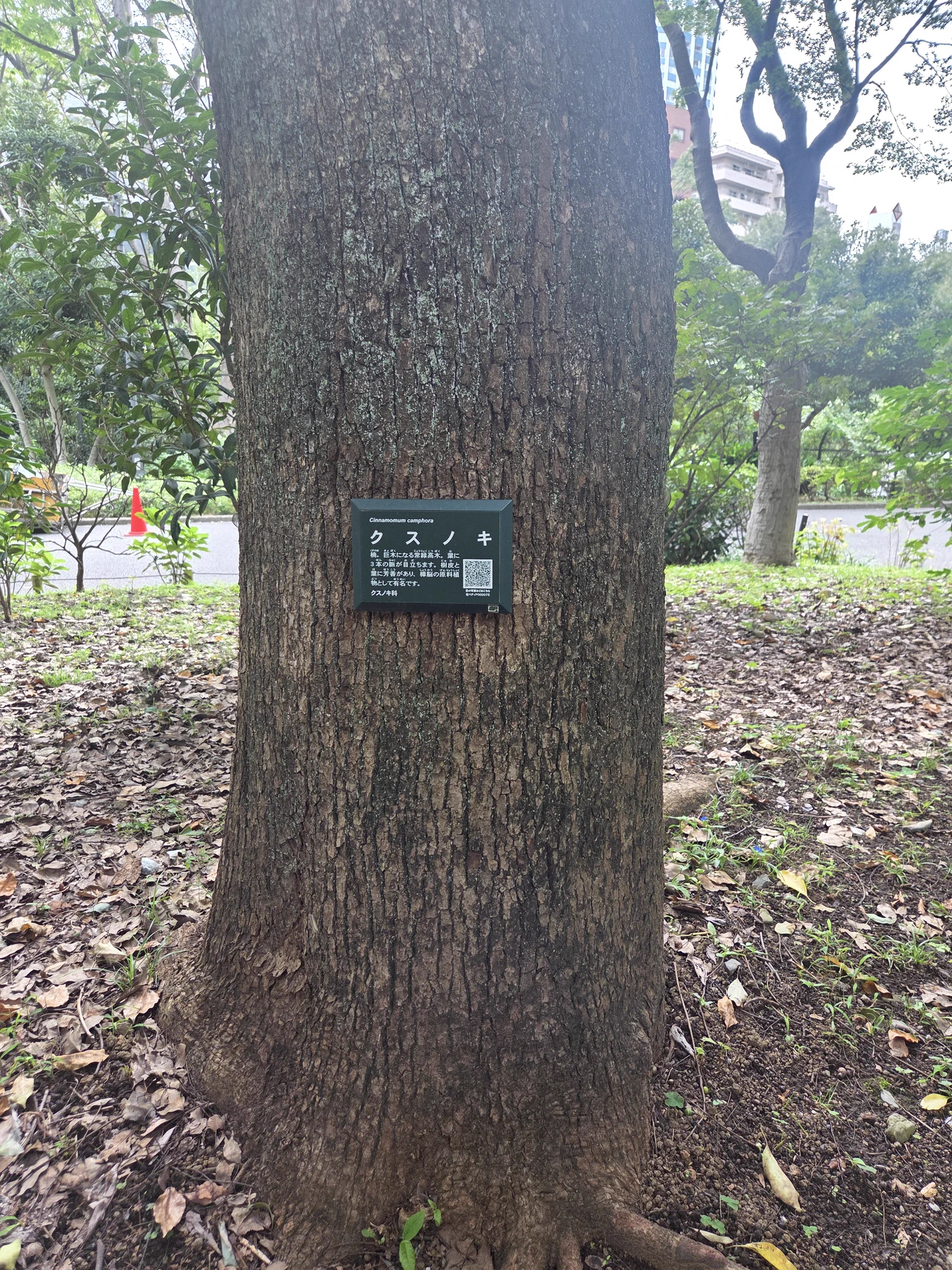 46へビ on X: 