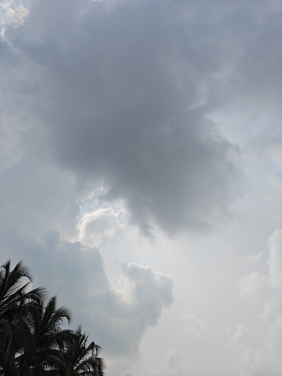RudyXFantasy's tweet photo. Can you sense it too? #sepang https://t.co/XPyEDash8C