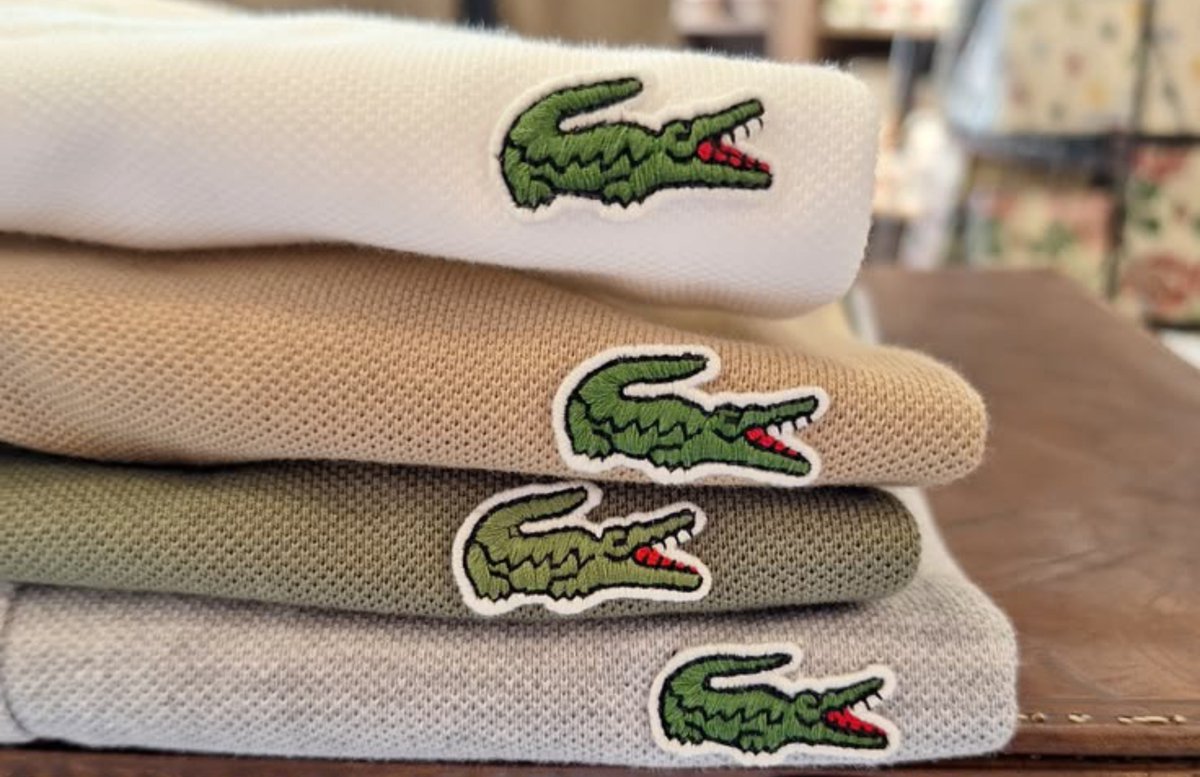 jo1ngin's tweet photo. ᅠ

ᅠ

🐊 https://t.co/0gK4LZ4Dyn