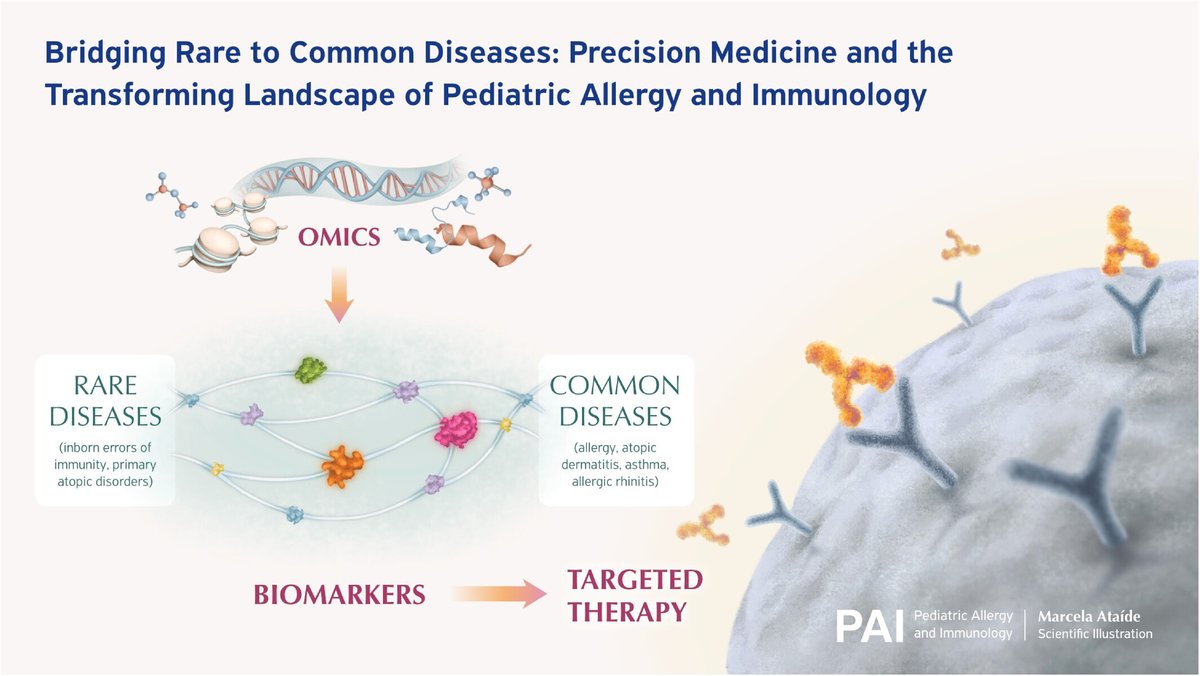 pai_eaaci's tweet photo. OMICS โ Biomarkers โ Targeted Therapy ๐ฌ
The future of pediatric allergy and immunology is increasingly driven by #PrecisionMedicine.
This #editorial discusses how discoveries in rare diseases are helping identify biological #pathways, #biomarkers, and therapeutic targets that may ultimately benefit patients with common #allergic conditions.
๐ Now available in #PAI_journal: https://t.co/PdkzPsSkJC
.
#rarediseases #TargetedTherapy #allergy #biologics #IEI #PAD #smallmolecules