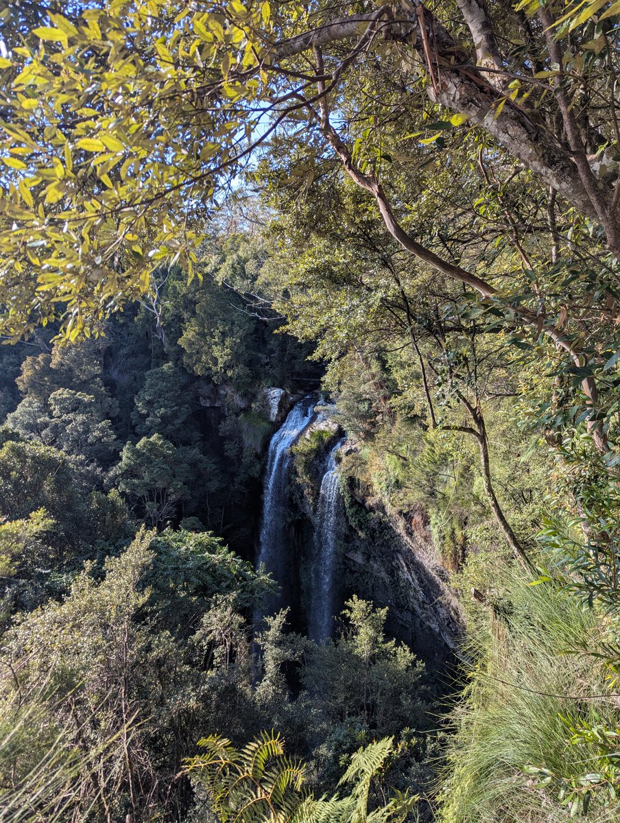 longjohnsilvrrr's tweet photo. Where are the baddies that like hiking? https://t.co/FaVWCuADTQ