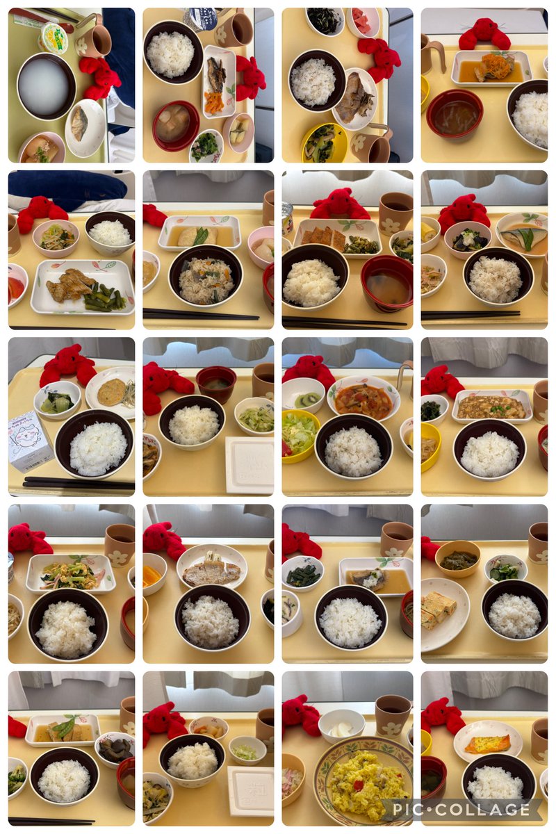 offend_maggie's tweet photo. 入院中のごはん、2週間は本当につらくていまだに白米食べたくない https://t.co/CZFvVtG4ji