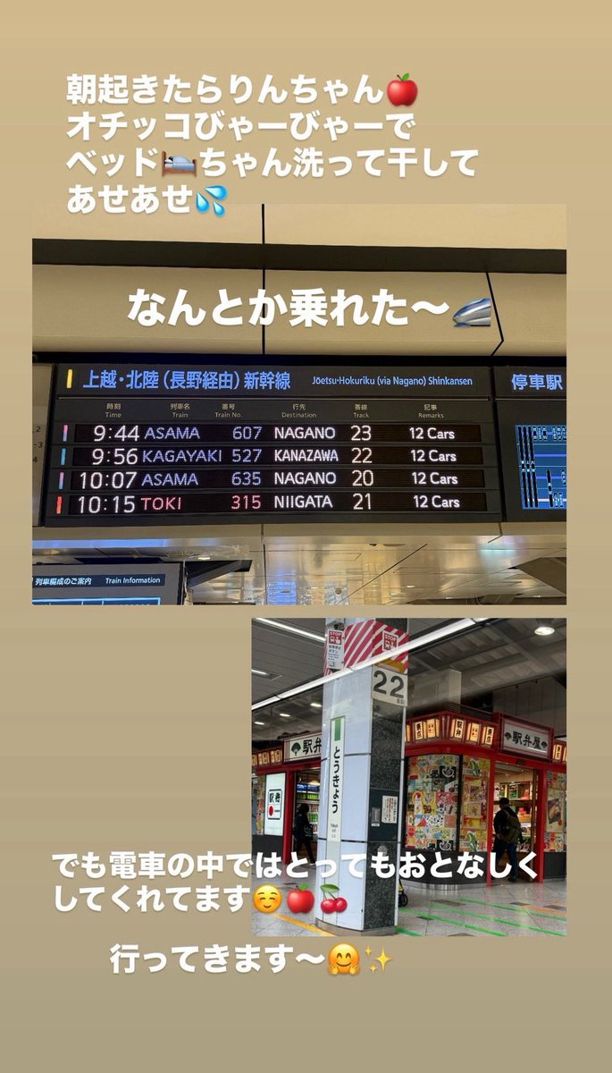 roccamocca's tweet photo. 今年は台風だらけで🌀
練りに練って考えたこの日程🥺
なんとか大丈夫そうでよかった☺️

お2人はとーってもおとなしくしています🚄
車の時もこうであって欲しいところです😂

行ってきまーす🤗🍎🍒 https://t.co/QHE2rOrNvO