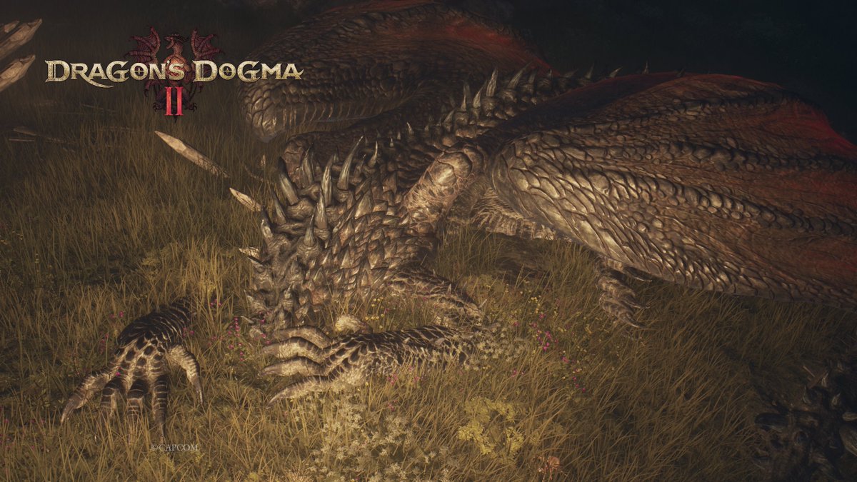 endoizei's tweet photo. ごめん寝ドラゴン
#DragonsDogma2　＃ドラゴンズドグマ２ https://t.co/StDTh3DsUd