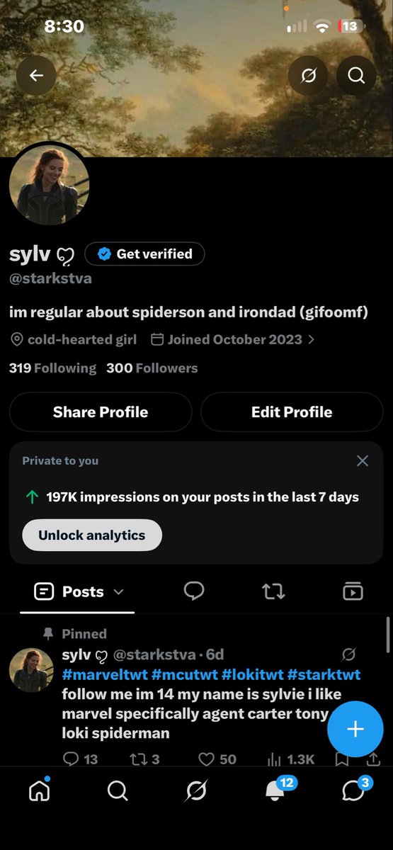 starkstva's tweet photo. HAPPY 300 FOLLOWERS GUYSS https://t.co/uXHxG1pJuX