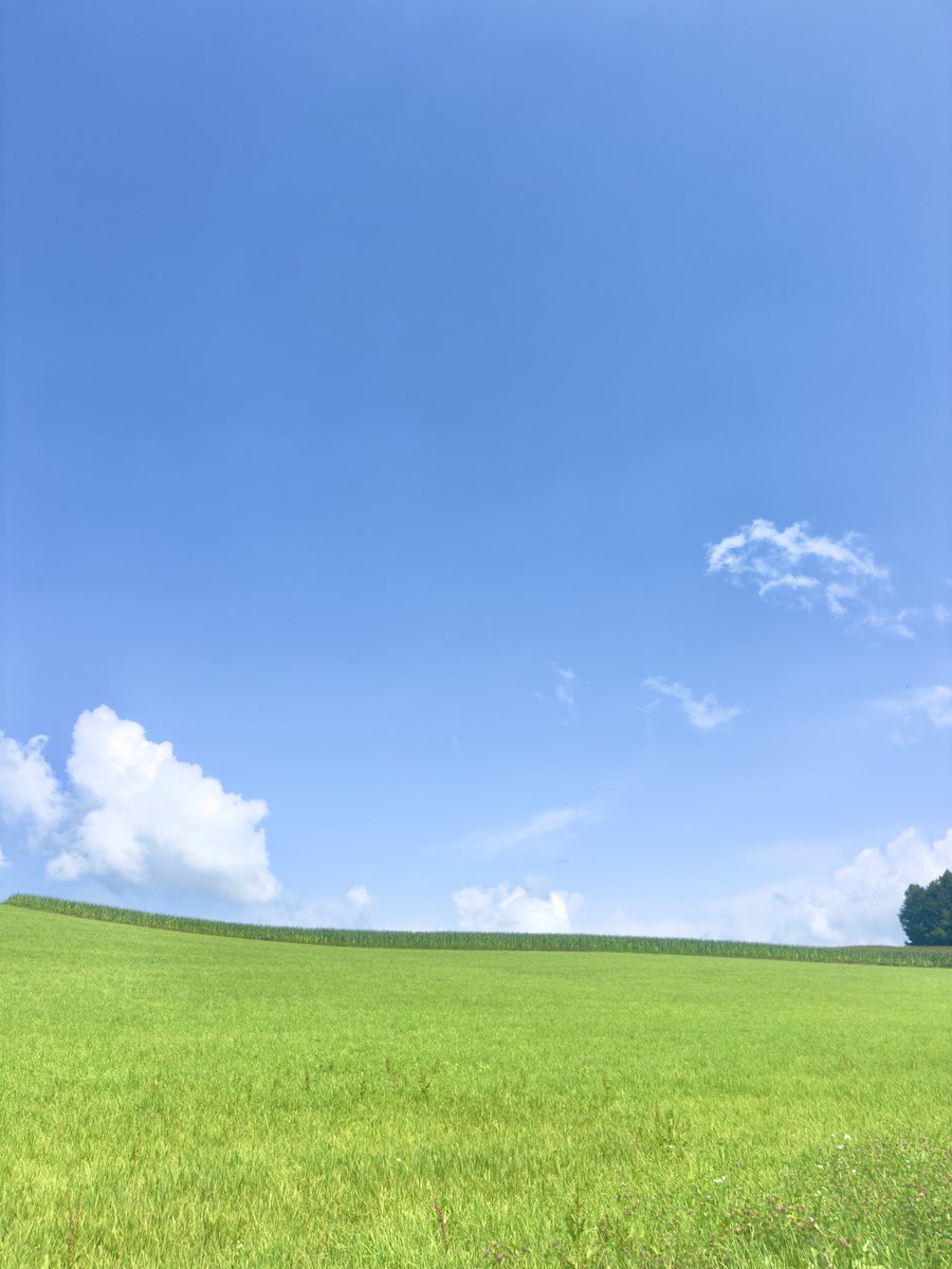 o13840's tweet photo. 富良野・美瑛…

僕たち道民でも大好きな風景。

日曜午後に
北の国から優しい風を☘️ https://t.co/t2W9wjGrRH