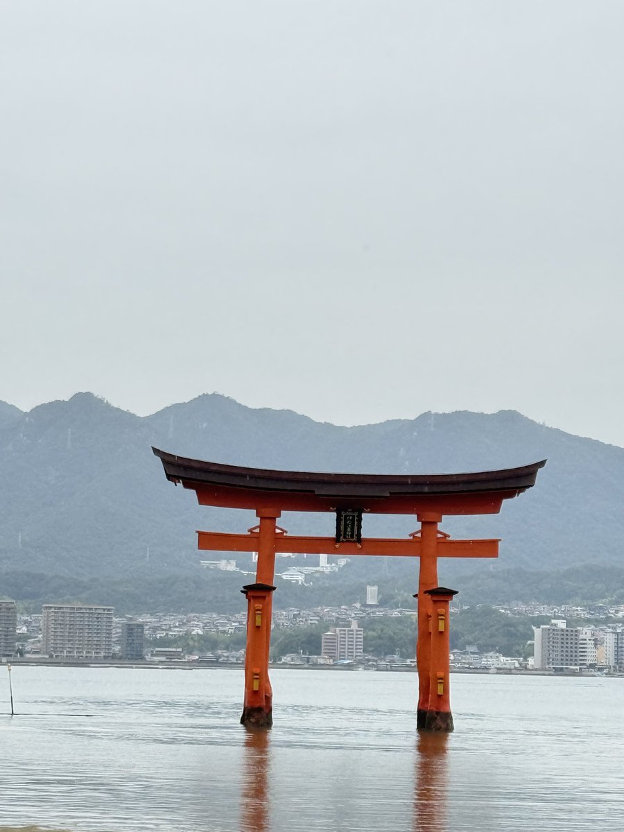 takehosa's tweet photo. 宮島⛩のふじたやであなご飯😋 https://t.co/c7VxXznIUz