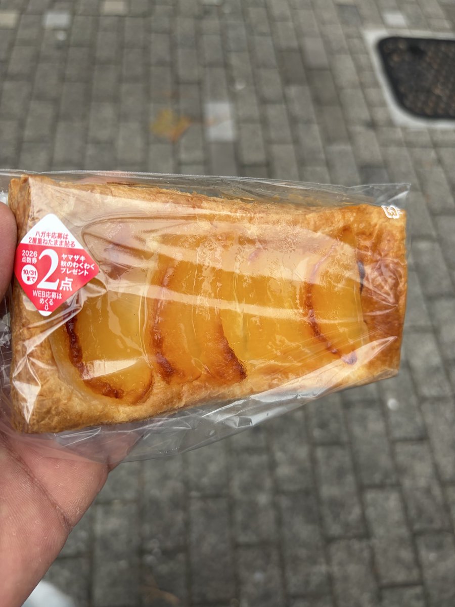 jin_77Z's tweet photo. デイリーヤマザキのアップルパイめっちゃうまい😋これめっちゃうまい😋 https://t.co/oH1hc4lB58