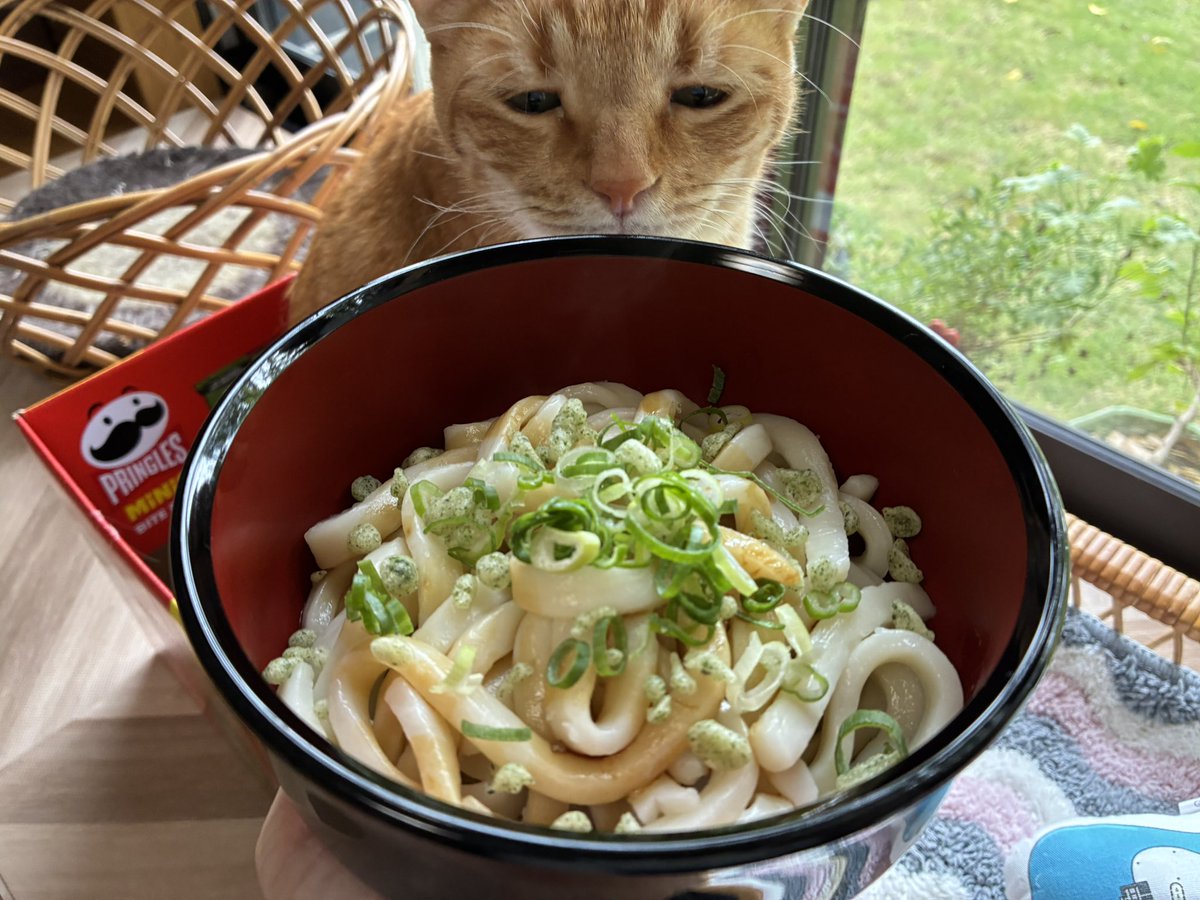 kaporing_jp's tweet photo. お昼ごはん伊勢うどん https://t.co/B244L0Oyc2