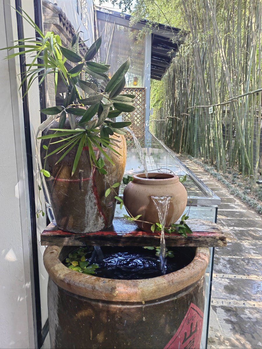 ChristianMdcka's tweet photo. This quiet garden hides a well-honed stone trough, a caged bird’s soft chirp, and a lonely old man tending to his neglected, moss-clad plants. https://t.co/0g7DekkNFM