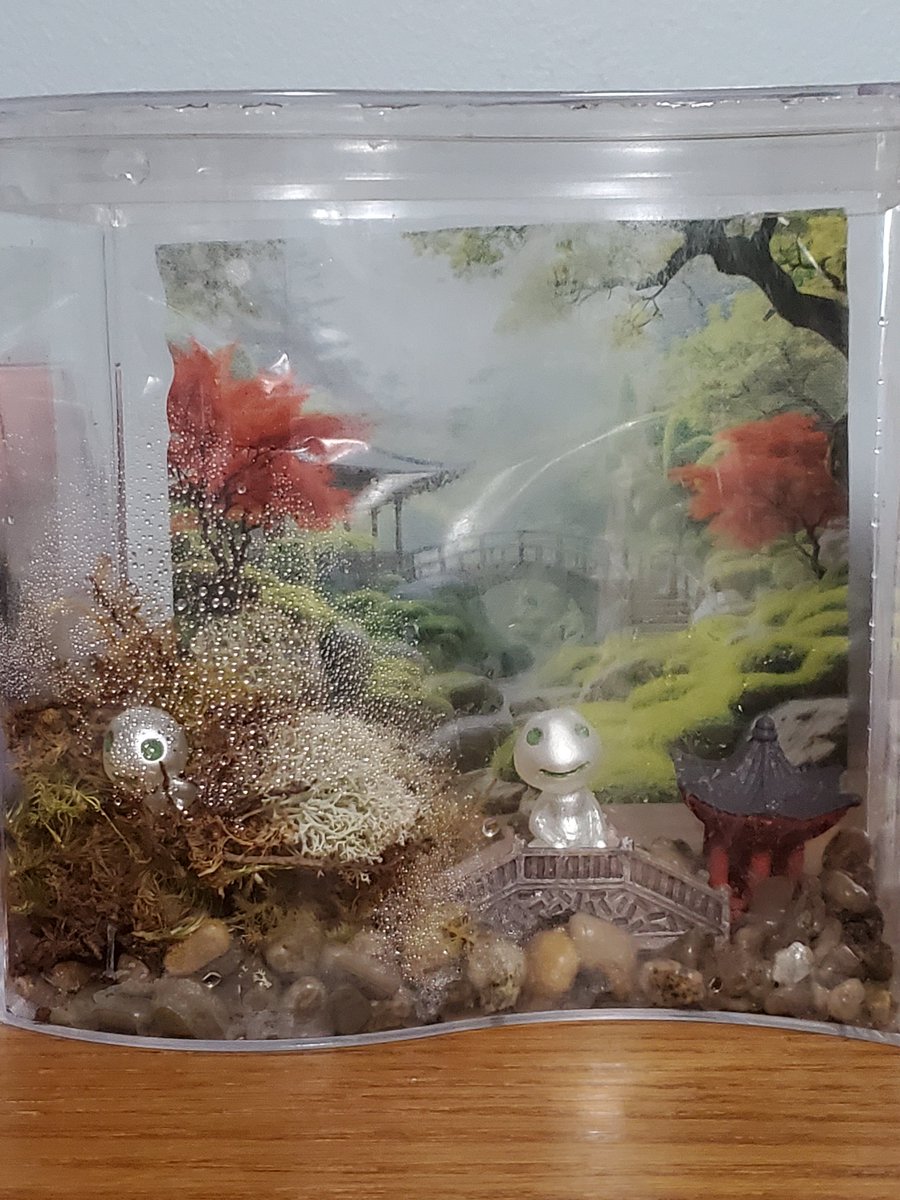 Cattaylei's tweet photo. I was too busy tidying up my room and putting together my mossy aquarium. I put some glowing Kodamas in there too. https://t.co/bz4dR7MCiX