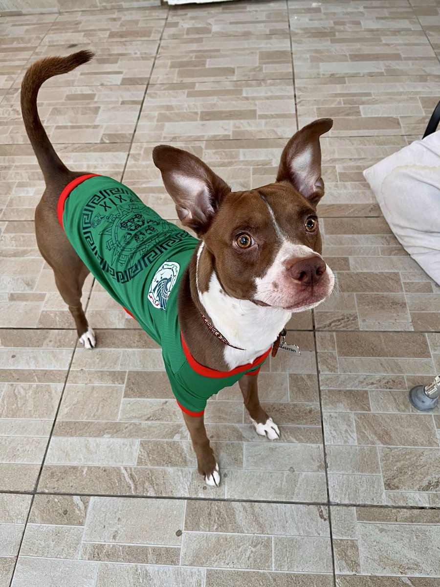 NayelliNunez's tweet photo. #LaEraDeRafa #LaNuevaEra #MiSeleccion ¡Vamos México! https://t.co/akYGRkbcqZ