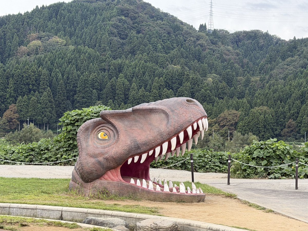 svveetsman's tweet photo. 📍道の駅 恐竜渓谷かつやま（福井県勝山市）

🍚おろし蕎麦とミニソースカツ丼セット（1100円）

ソースカツ初めて食べましたが、あまじょっぱくて美味しかったです！
蕎麦も濃くて美味しかった😋 https://t.co/1kAABMFzxj