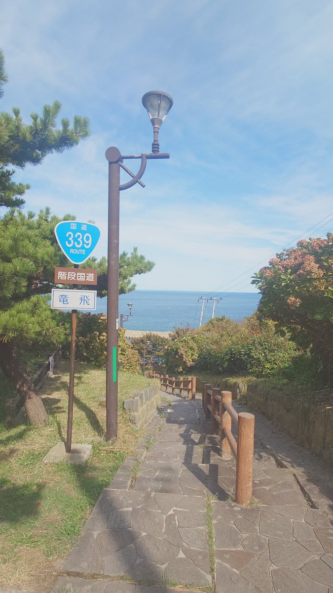 holylonlyknight's tweet photo. 車が通れない国道339号

通称階段国道 https://t.co/VXBfQAQUCV