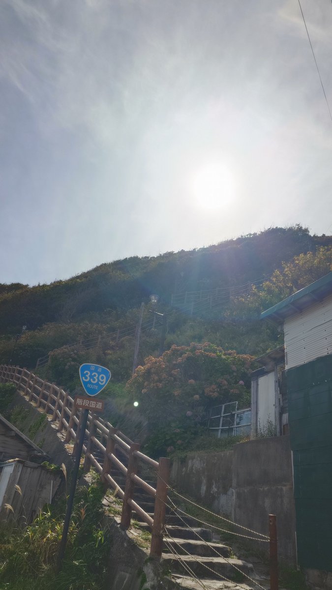 holylonlyknight's tweet photo. 車が通れない国道339号

通称階段国道 https://t.co/VXBfQAQUCV