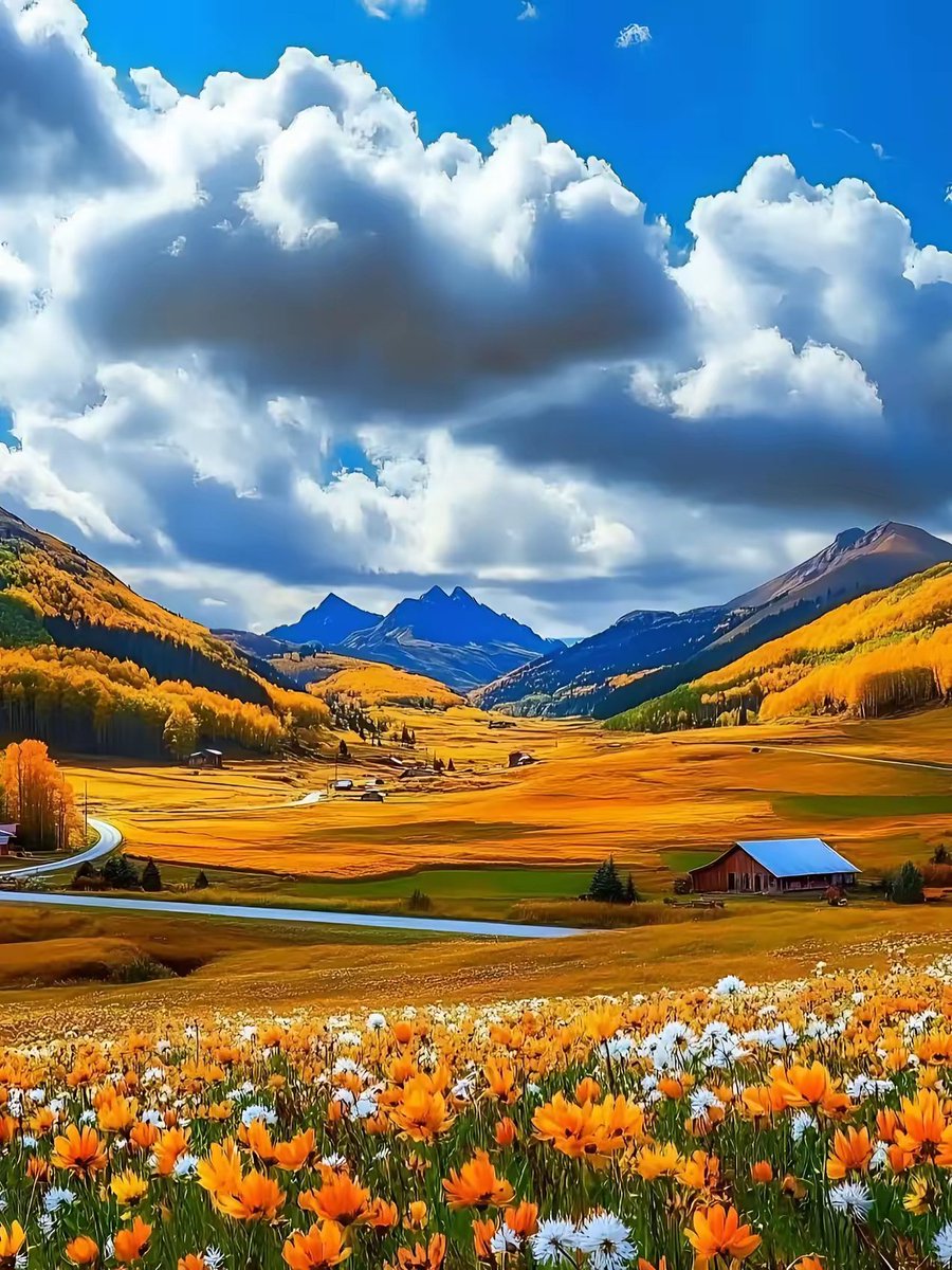 harry_haze9_ca7's tweet photo. [Check out this view! Such a lovely scene to admire]， https://t.co/nYNqO0dQgB