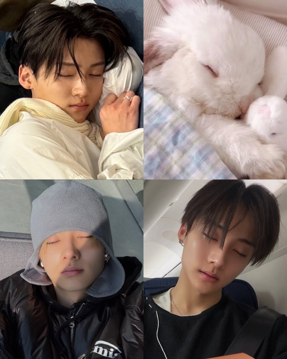19wons's tweet photo. eepy bunnywon 🐰💤 https://t.co/d6TklKiUfU