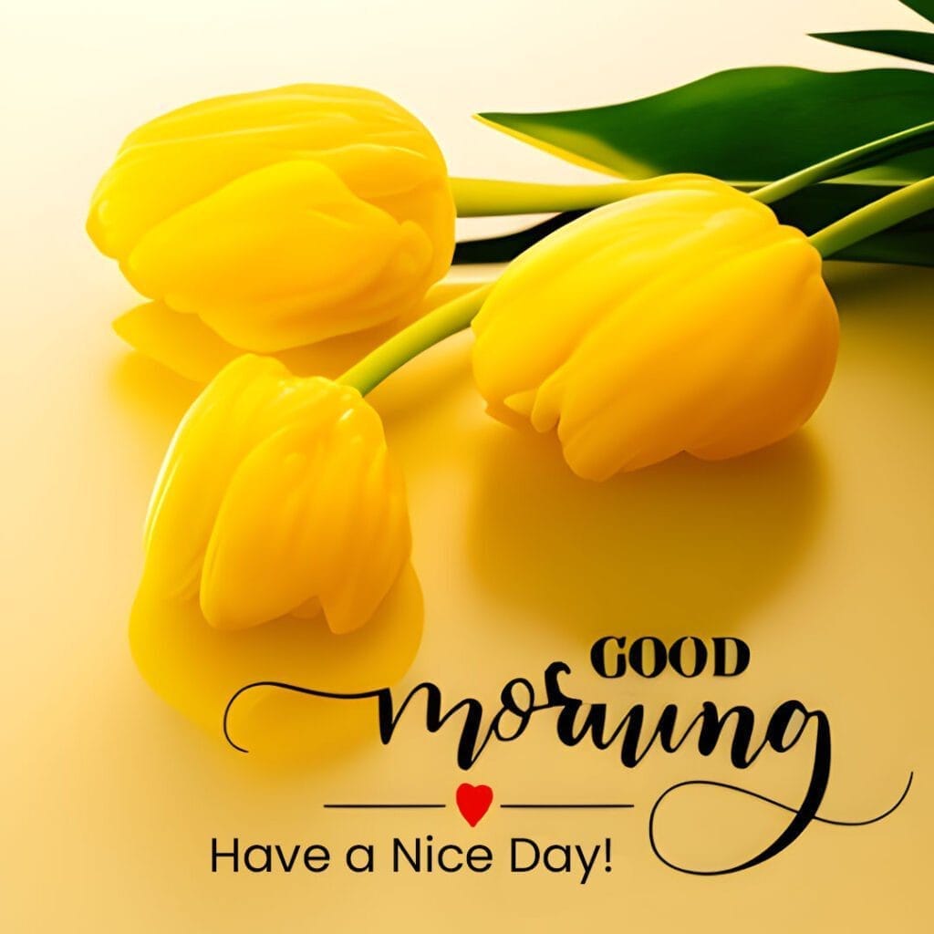 Gopalakrisxsn's tweet photo. @Gracy33637103 @ayisha4mail https://t.co/kgZ9520kQ7