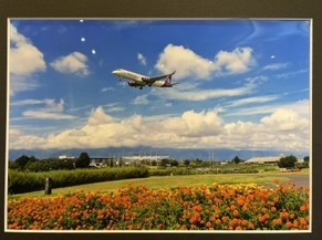 MMJ_shinsyu's tweet photo. 日本で一番空に近い空港は、きっと日本で一番空に愛される空港かもしれません。
「第２回まつもと空港写真展」信州まつもと空港2階多目的ホールで開催中!
ＦＤＡを彩る鮮やかな空・花・青りんご…光あふれる作品たちを是非ご覧下さい。
#信州まつもと空港 　#ＦＤＡ https://t.co/l6rSufUtpf