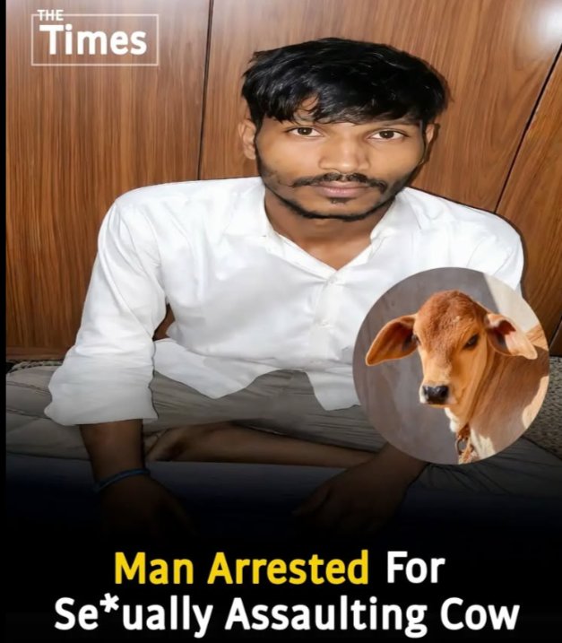 BeamoutS98402's tweet photo. @YoungSo554 @Joekerr25 Saar istg I'm ceo saar! India supapoopapowa saar! And speaking of goat fucking, that's what ur shitty religion authorize, one of your poopcel cousins was caught raping your god Mr "CEO" https://t.co/j44c3ZfhTp