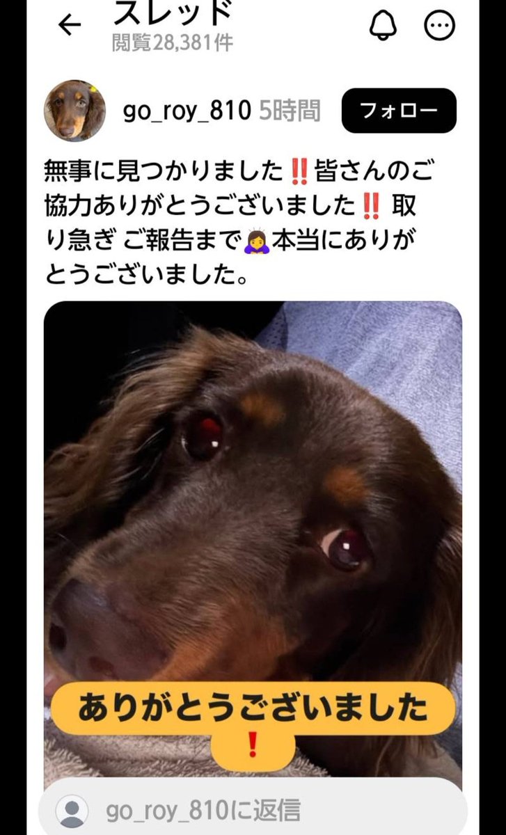catelaine222's tweet photo. お役には立てなかったけど、
ホントよかった https://t.co/5X8bW8pGBV