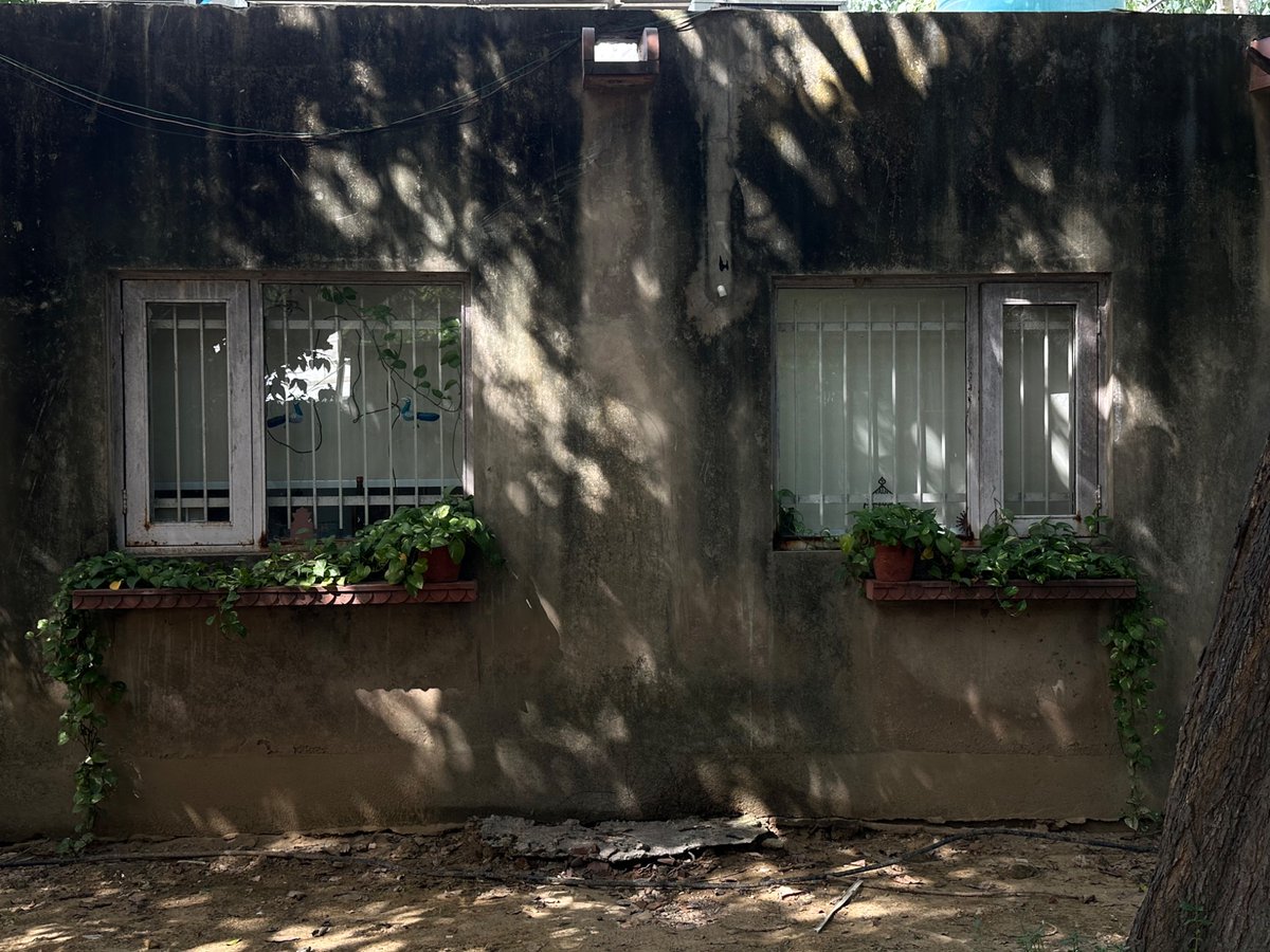 karteakk's tweet photo. October in Delhi https://t.co/nybEHsJ61E