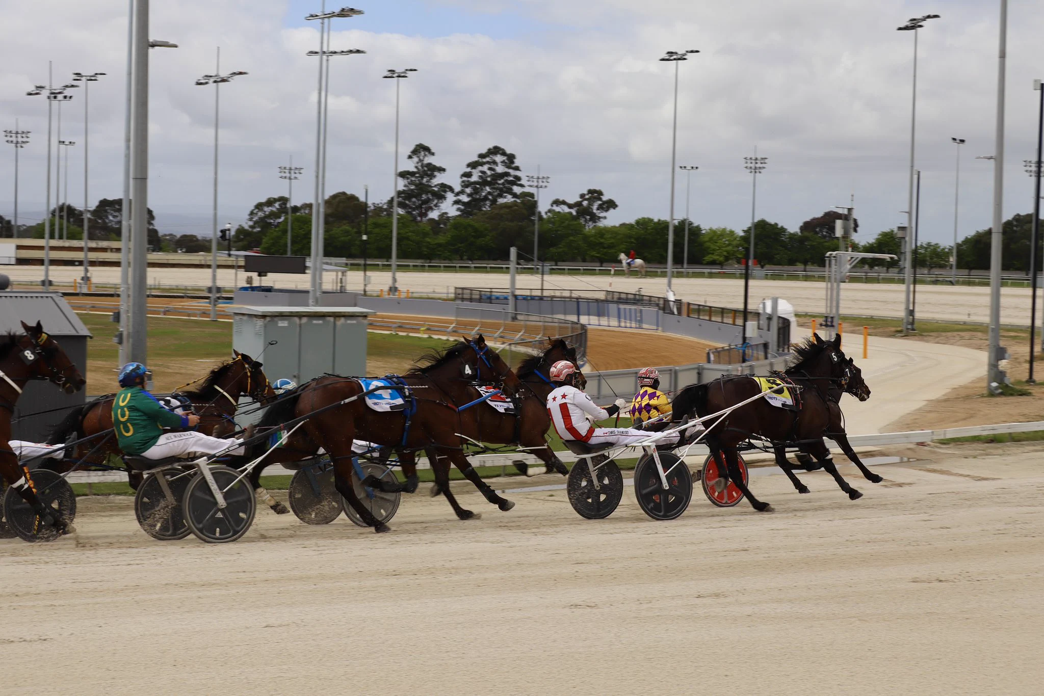 Cranbourne Harness on X: 