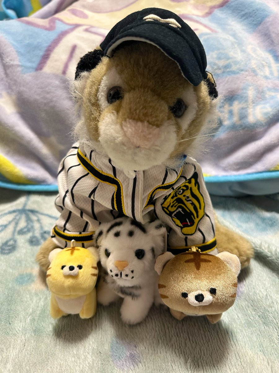 meeepn___'s tweet photo. ポケぬい持って歩くこと最近ないけど
この前ホワイトタイガーのぬいお迎えしました😊✨
少しずつトラぬい集まってくの嬉しい😊
#ぬい撮り https://t.co/nYljX3oddn