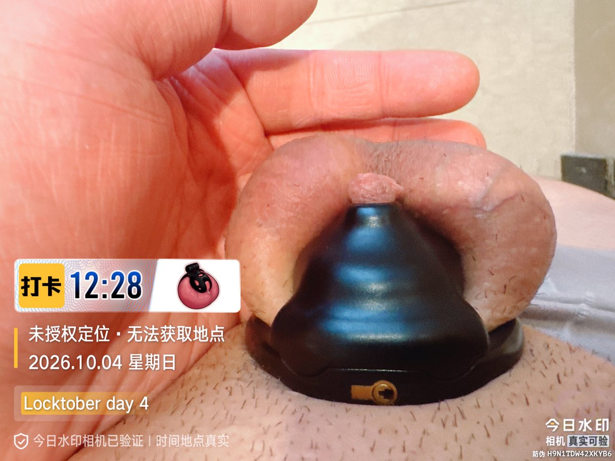 lockedBear996's tweet photo. Day 4
 #锁屌 #teamlocked #农牛 #精牛 #cb锁 #chastity
＃禁欲 #胖熊 #熊猴 #locktober #gay #CHUDAİ https://t.co/dH3YDx1XdC