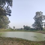 Photo by Sagar Panwar (@thatdumbcoder)