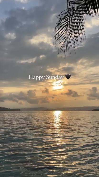 MrAvailable409's tweet photo. Happy Sunday family 

Have a great day ahead https://t.co/Bg92JHfyYh
